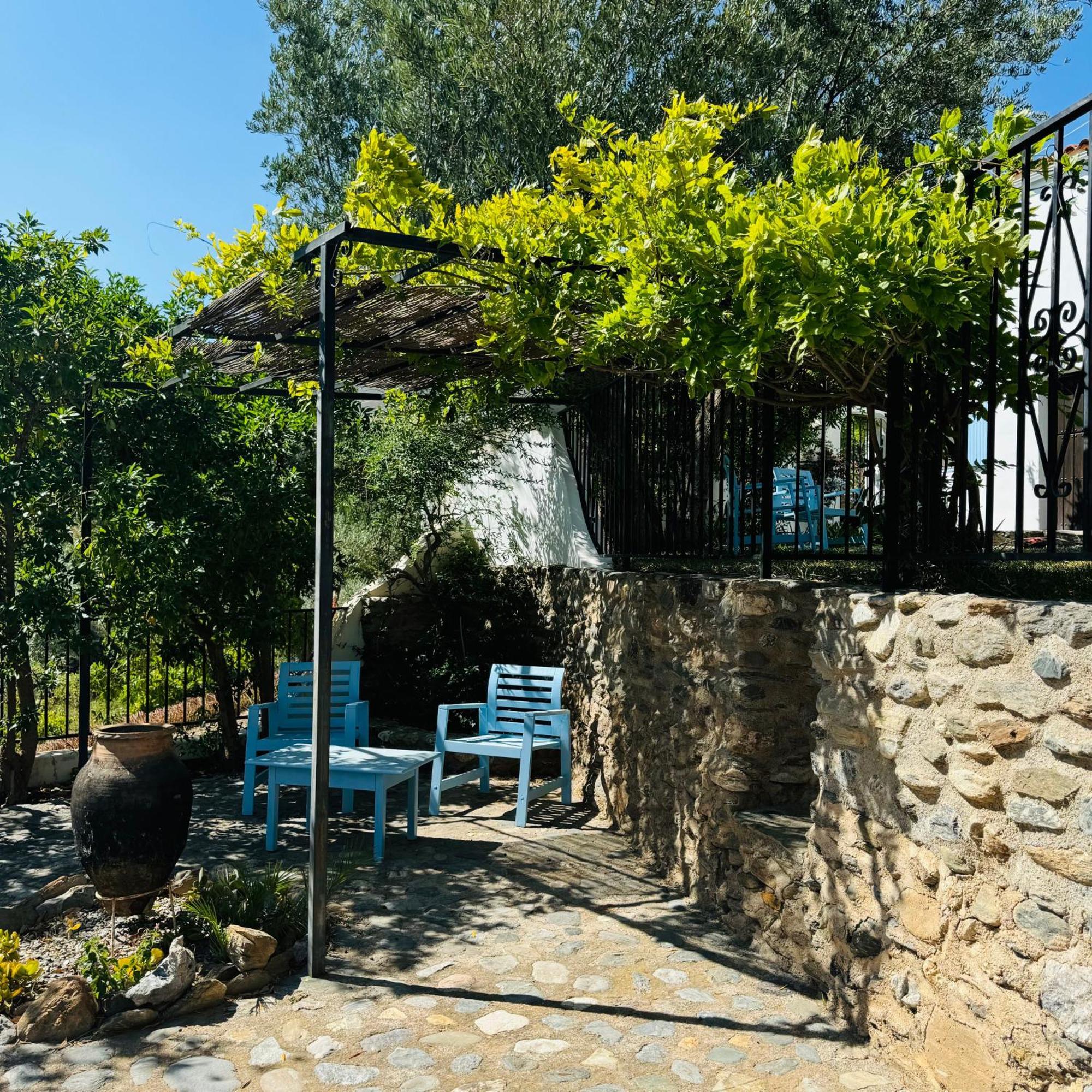 הוילה אורגיווה Almond Hill House מראה חיצוני תמונה