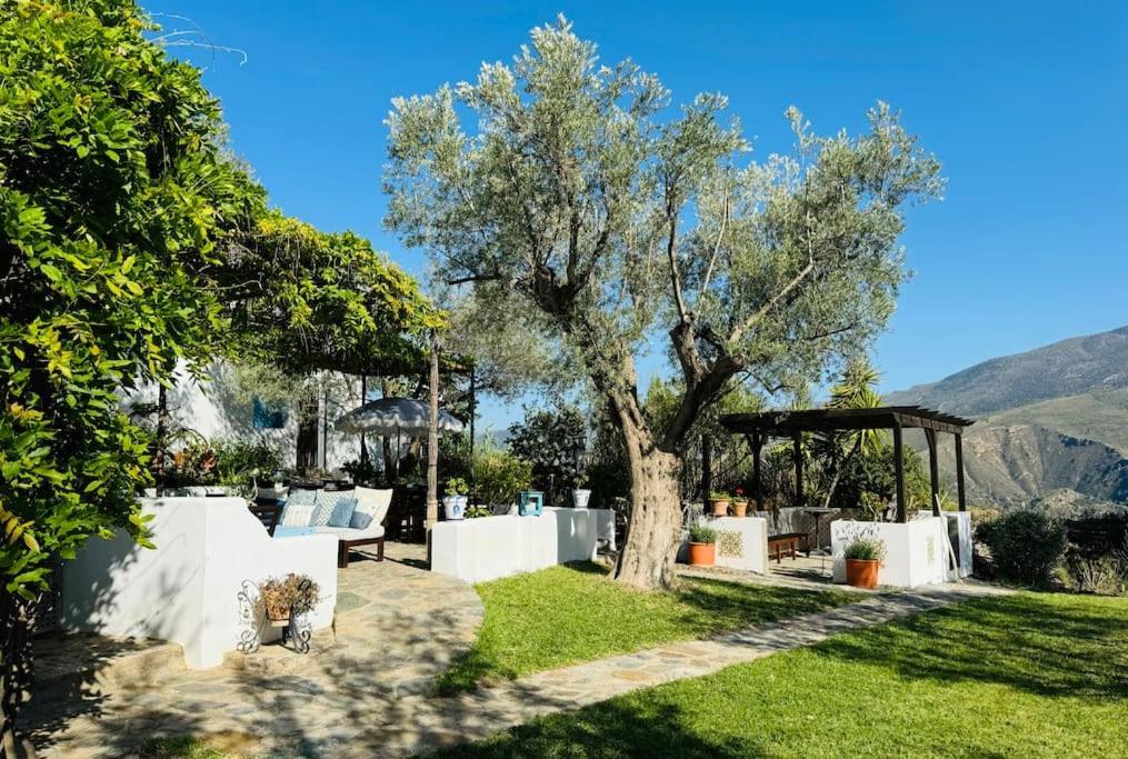 הוילה אורגיווה Almond Hill House מראה חיצוני תמונה