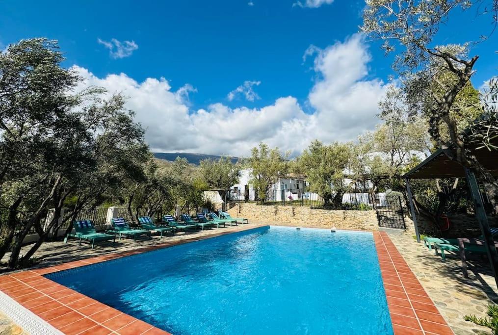 הוילה אורגיווה Almond Hill House מראה חיצוני תמונה
