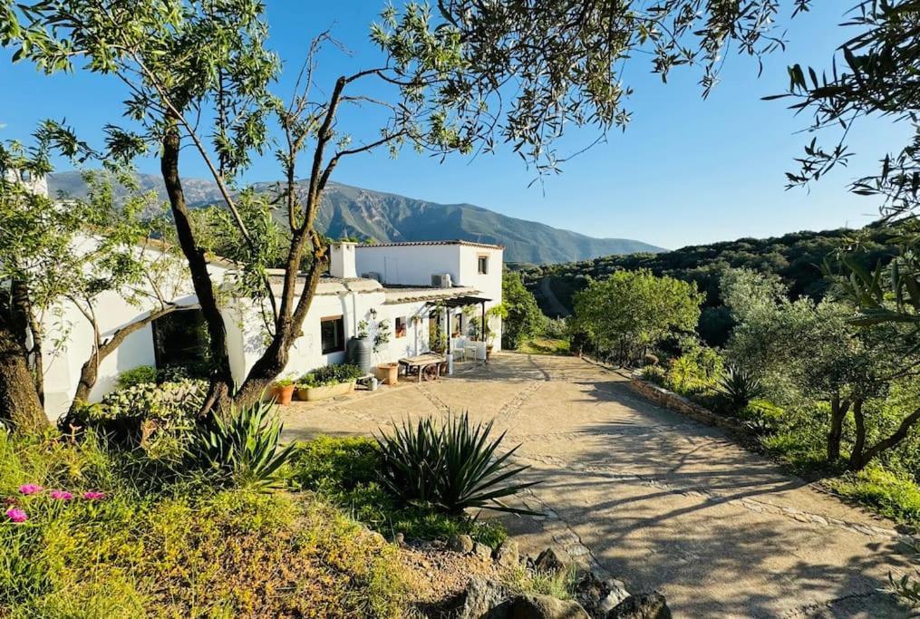 הוילה אורגיווה Almond Hill House מראה חיצוני תמונה