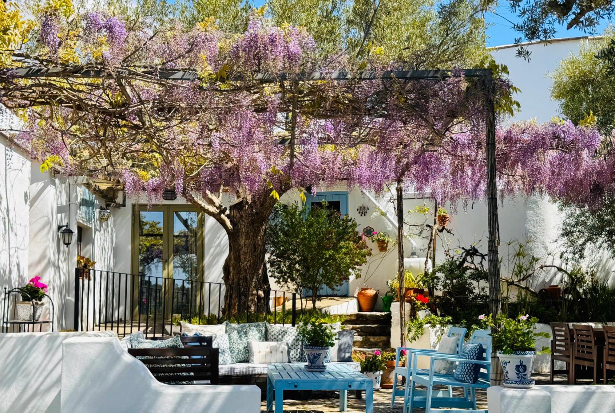 הוילה אורגיווה Almond Hill House מראה חיצוני תמונה